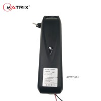 48v lithium ion battery pack 48V 17.5ah for ebike Hailong case